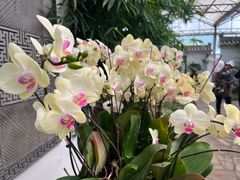 -石家庄市植物园
