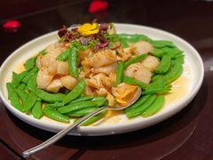 XO翡翠螺头澳带-上海苏宁宝丽嘉酒店·嘉府壹号中餐厅