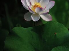 -长广溪湿地公园