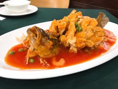 松子鲈鱼-兴安餐厅(兴安路店)
