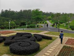 -东莞植物园