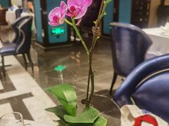 -Yan Ting 宴庭中餐厅(上海静安瑞吉酒店)