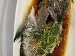 -宝燕壹号(徐汇店)