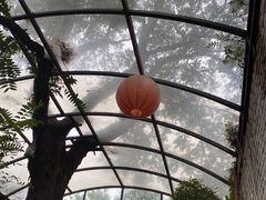 -zarah(鼓楼店)