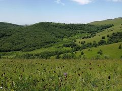 -塞罕坝国家级自然保护区