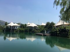 -帐篷客·溪龙茶谷度假酒店