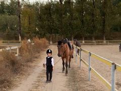 -月河湾马术俱乐部(朝阳店)