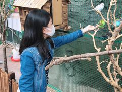 -杭州开元森泊度假乐园