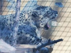 -青藏高原野生动物园