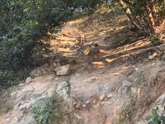 -黄埔油麻山森林公园