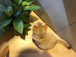 -隅日式美甲美睫專門店