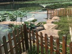 -吉林大学(前卫南区)