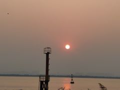 -芒洲湿地公园