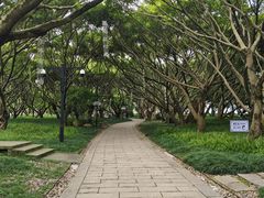 -江心屿景区
