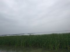 -卧龙湖
