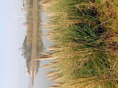 -九龙湖公园