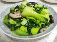 -天鹅到家·保姆月嫂育儿嫂(总店)