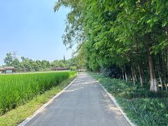 -桤木河湿地公园