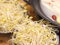 -阳阳老火锅(小南门店)