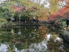 -秋霞圃