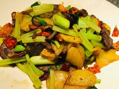 葱爆牛肉-日上三甘(三里屯店)