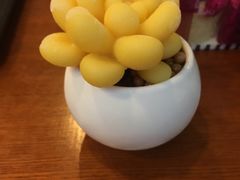 -瑞可爷爷的店(铁东店)