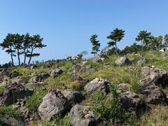 -柱状节理带