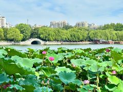 -济南大明湖景区