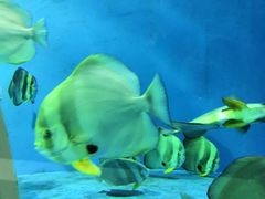 -北戴河圣蓝海洋公园