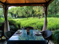 -野蔓果·山野菜(西湖景区·龙井茶田店)