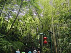 -峨眉山报国寺