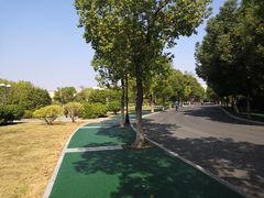 -南京航空航天大学(将军路校区)
