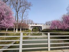 -洛阳市隋唐城遗址植物园