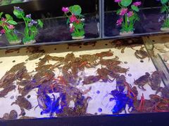 水产区-千百叶海鲜自助餐厅(万达广场店)