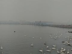 -烟墩角天鹅湖