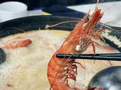 -牛排王糟粕醋火锅(海甸分店)