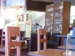 -星巴克(北京王府井店)