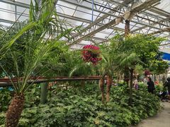 -南宫五洲植物乐园