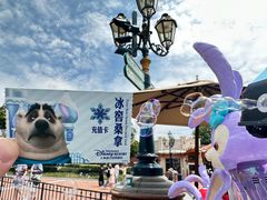 -上海迪士尼度假区