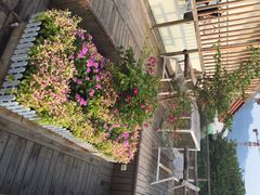 旧街一号溪岸旅馆-武夷山旧街壹号溪岸旅馆(三姑度假区店)