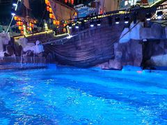 -海合安青岛极地海洋公园