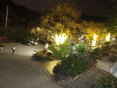 -老幺泉水鸡
