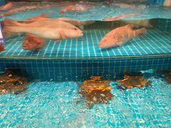 -新阿布海鲜大酒店