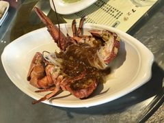 -大连金石滩绿发温泉假日酒店