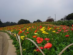 -保利石象湖景区
