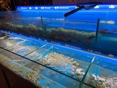 -太湖饭店玉兰厅(自助餐厅)