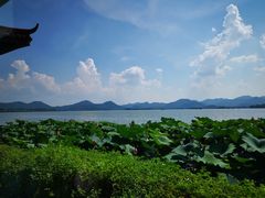 -湖畔居茶楼(湖滨店)