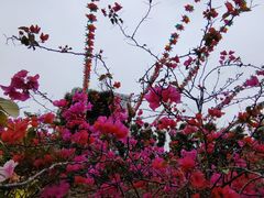 -东风公园