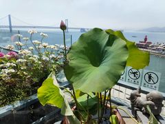 -川旺角川粤融合菜•海景餐厅(星海广场店)