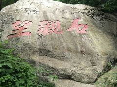 -王顺山国家森林公园